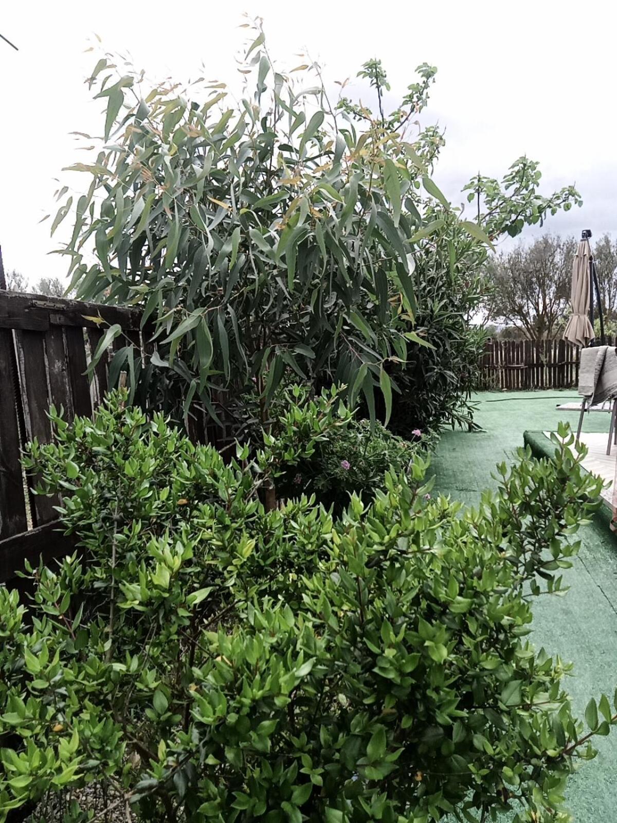 Podere Kiri Dome Experience Decimomannu المظهر الخارجي الصورة